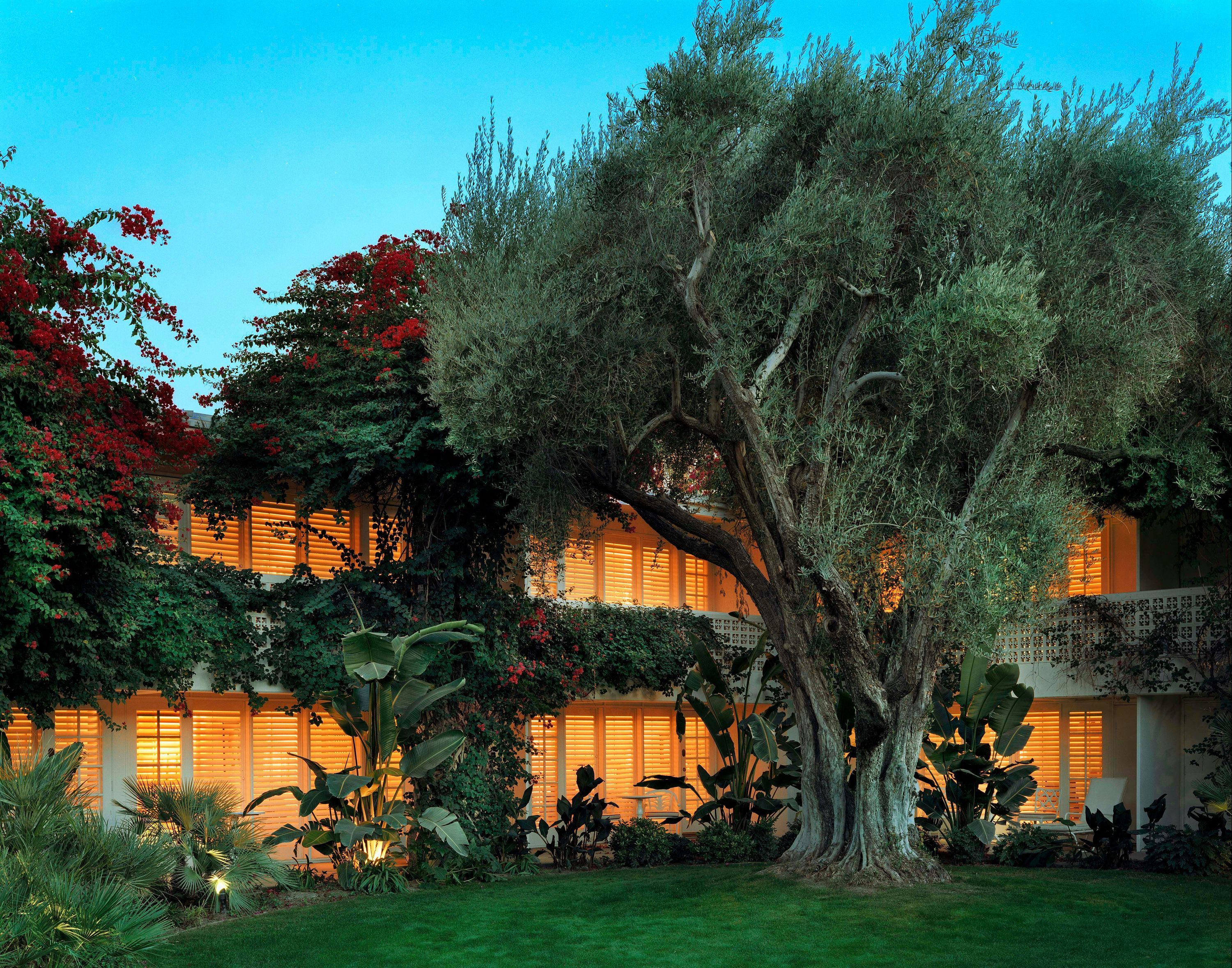 المظهر الخارجي