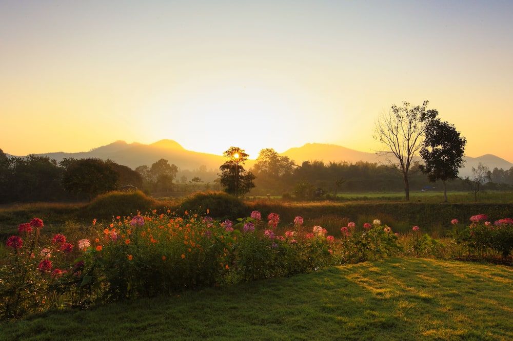 المظهر الخارجي
