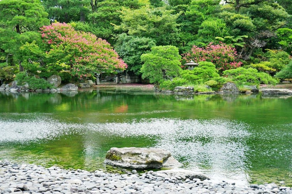 المظهر الخارجي