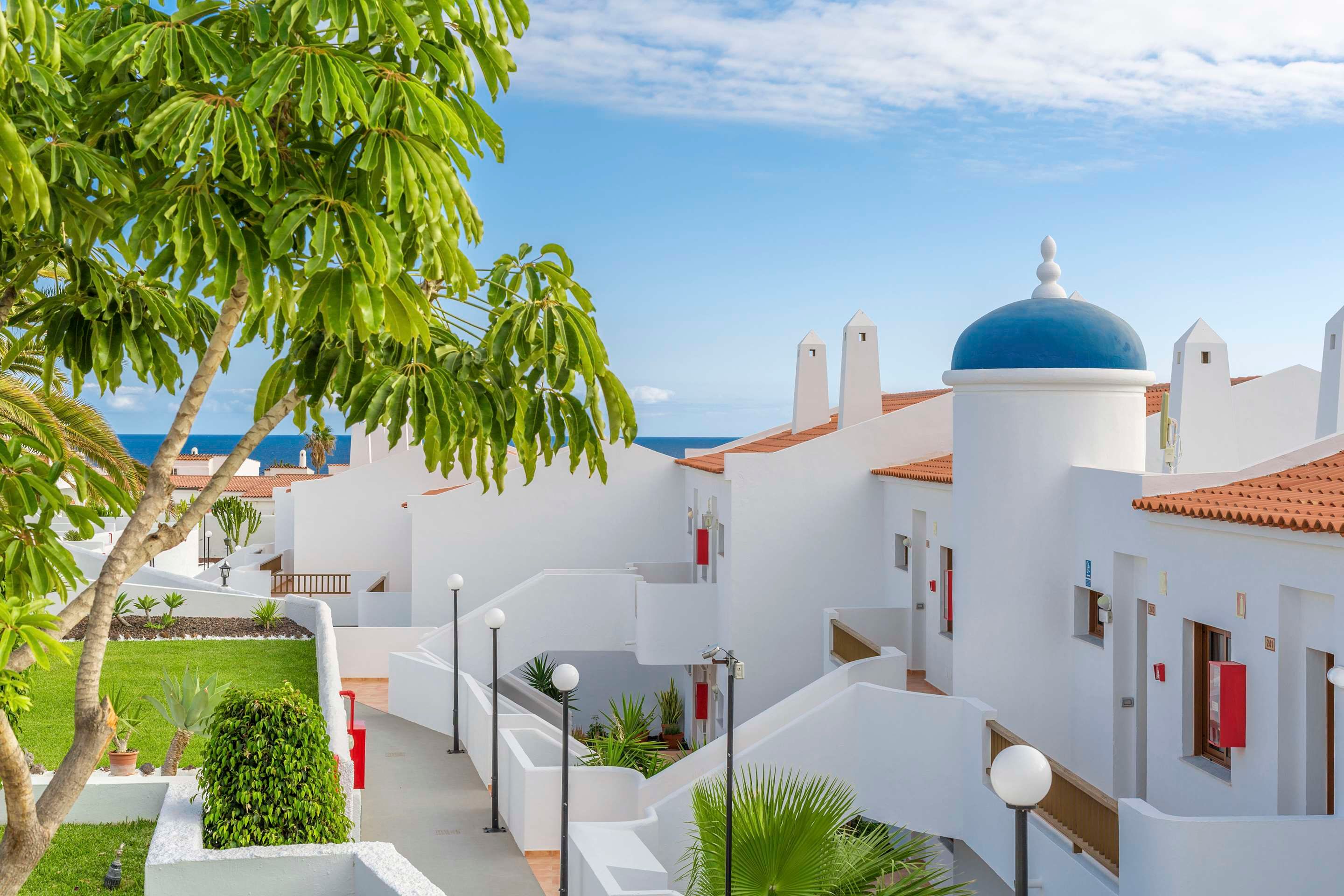 المظهر الخارجي