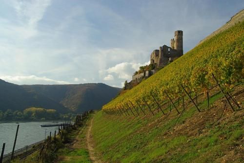 المظهر الخارجي