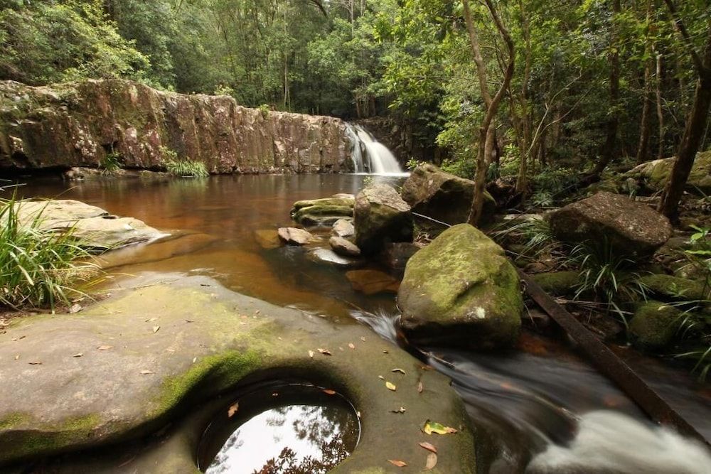 المظهر الخارجي