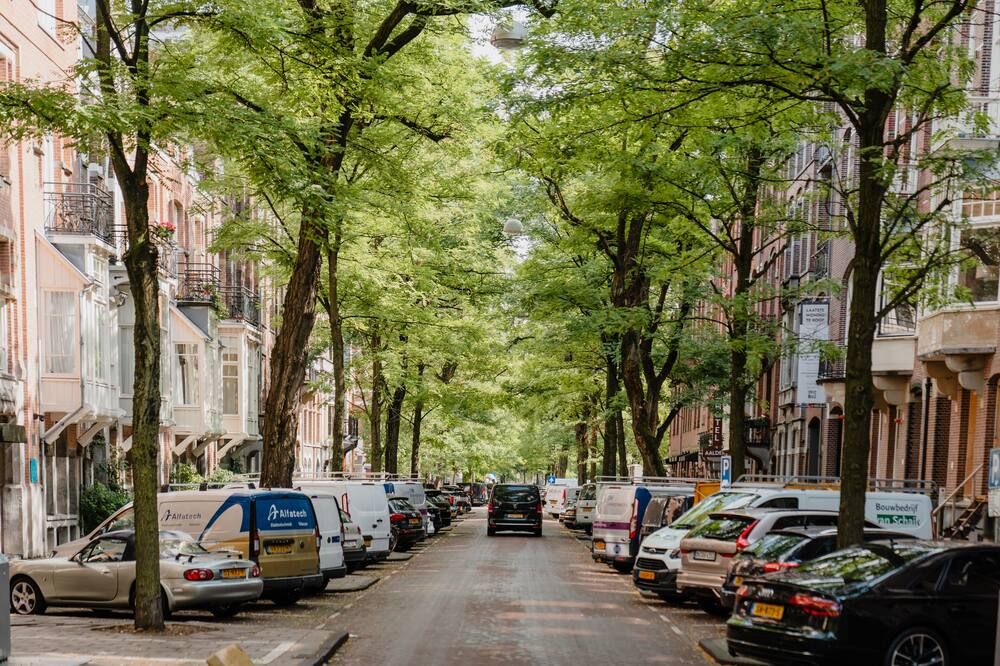 المظهر الخارجي