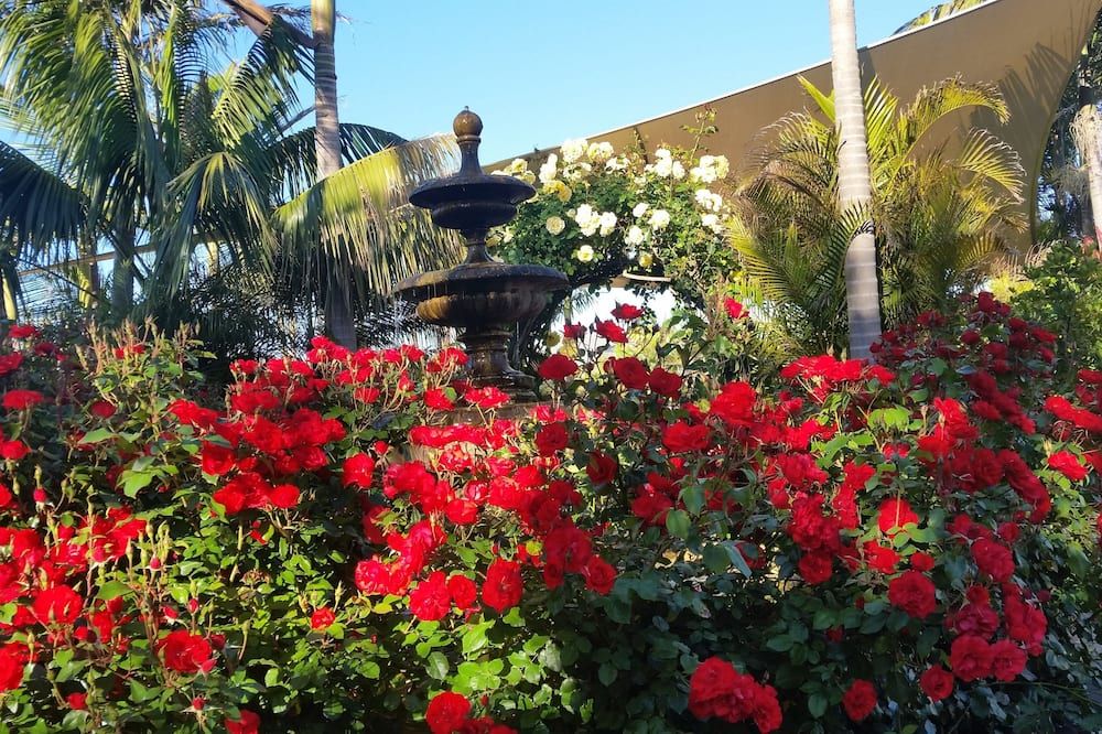 المظهر الخارجي