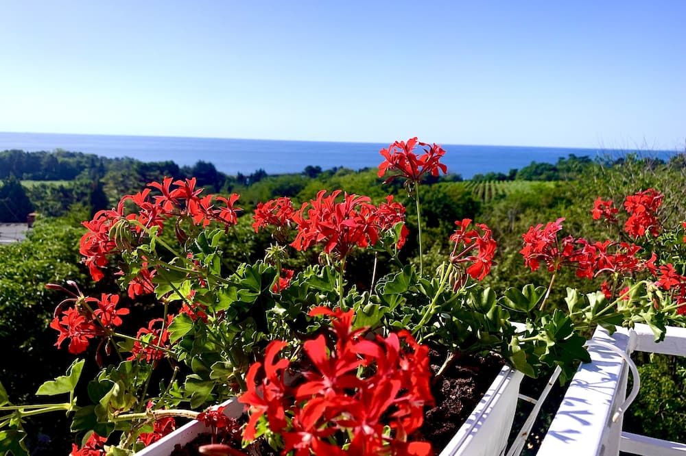 المظهر الخارجي