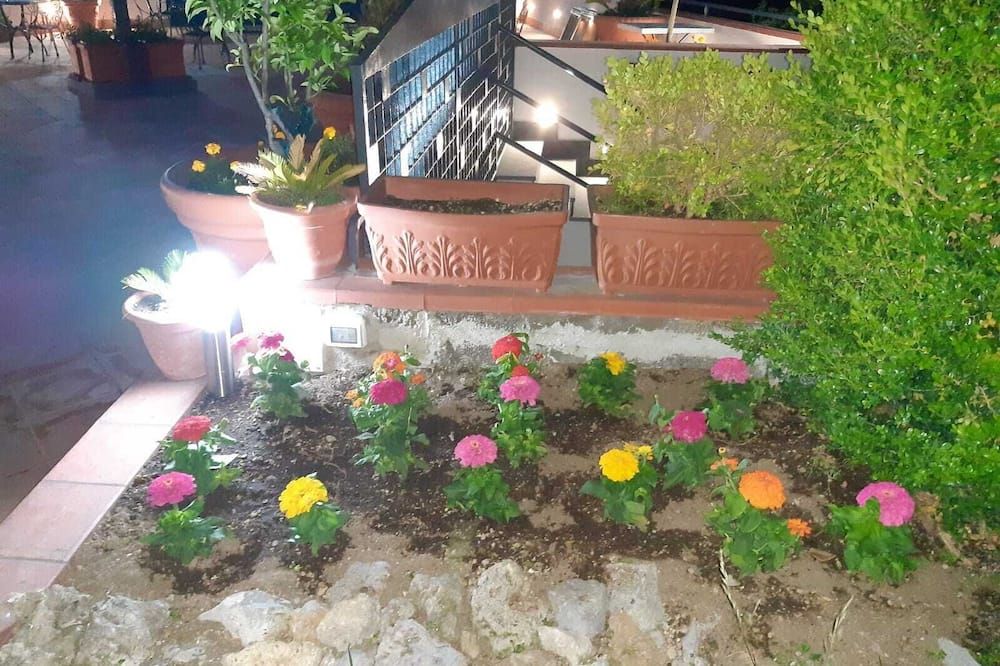 المظهر الخارجي