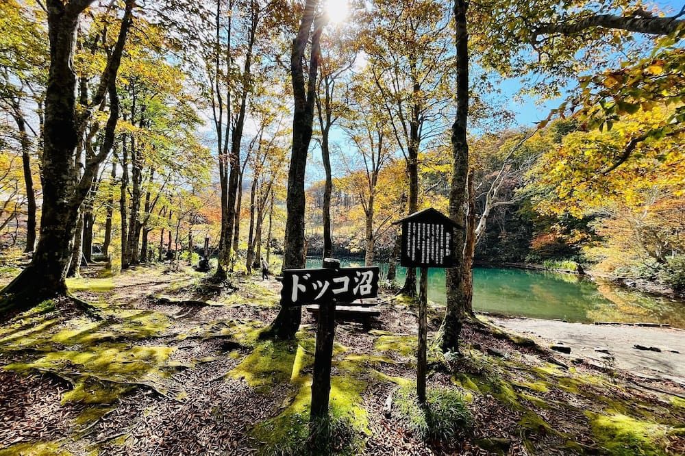 المظهر الخارجي