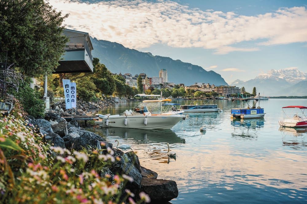 المظهر الخارجي