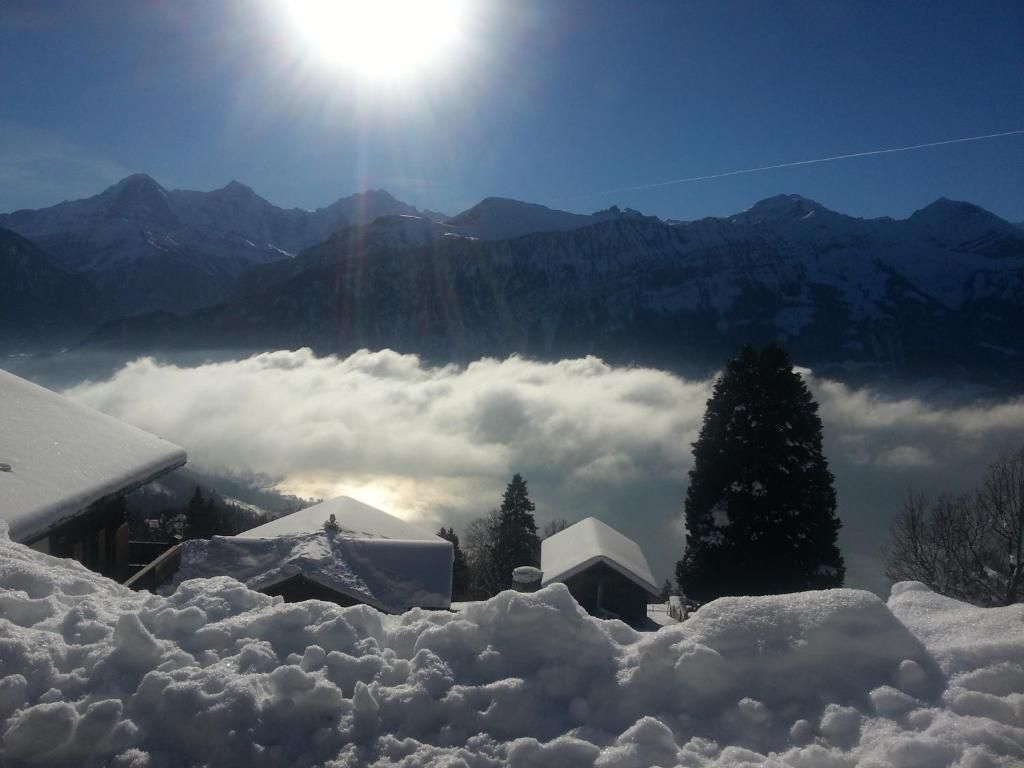 المظهر الخارجي