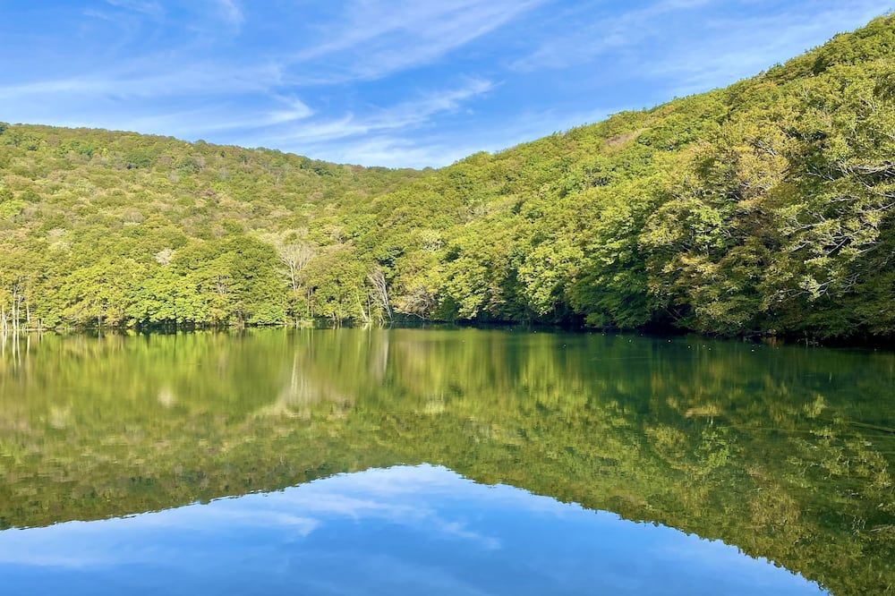 المظهر الخارجي