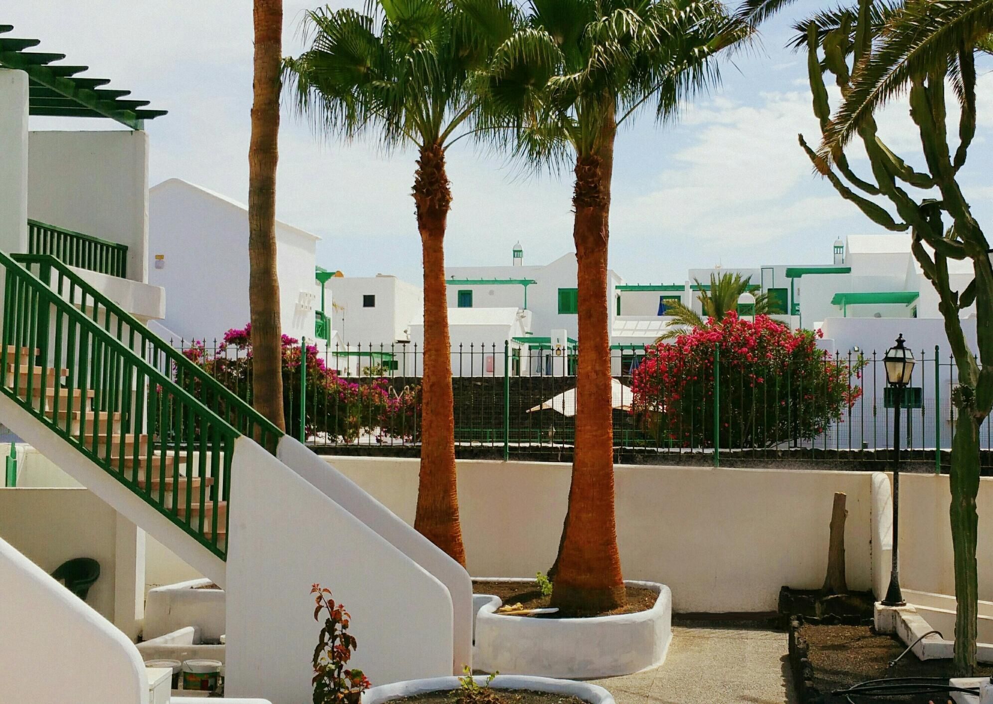 المظهر الخارجي