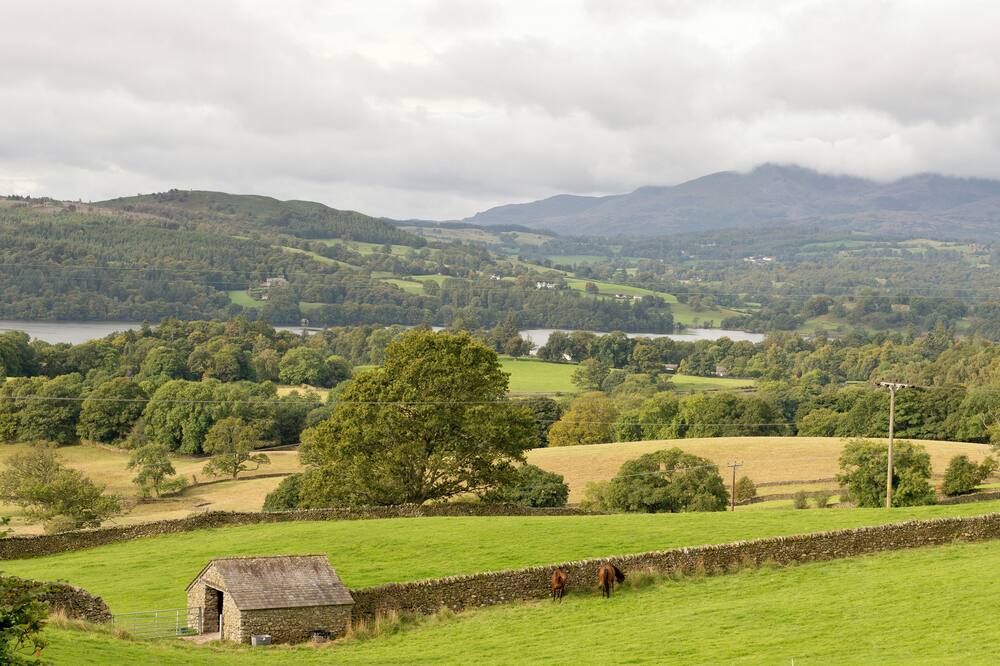 المظهر الخارجي