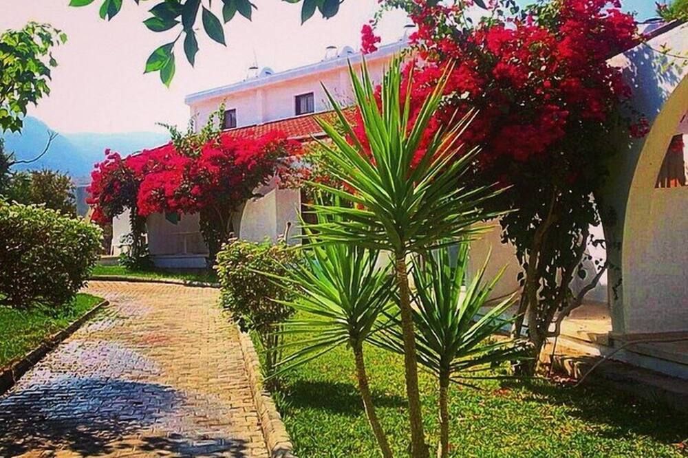 المظهر الخارجي