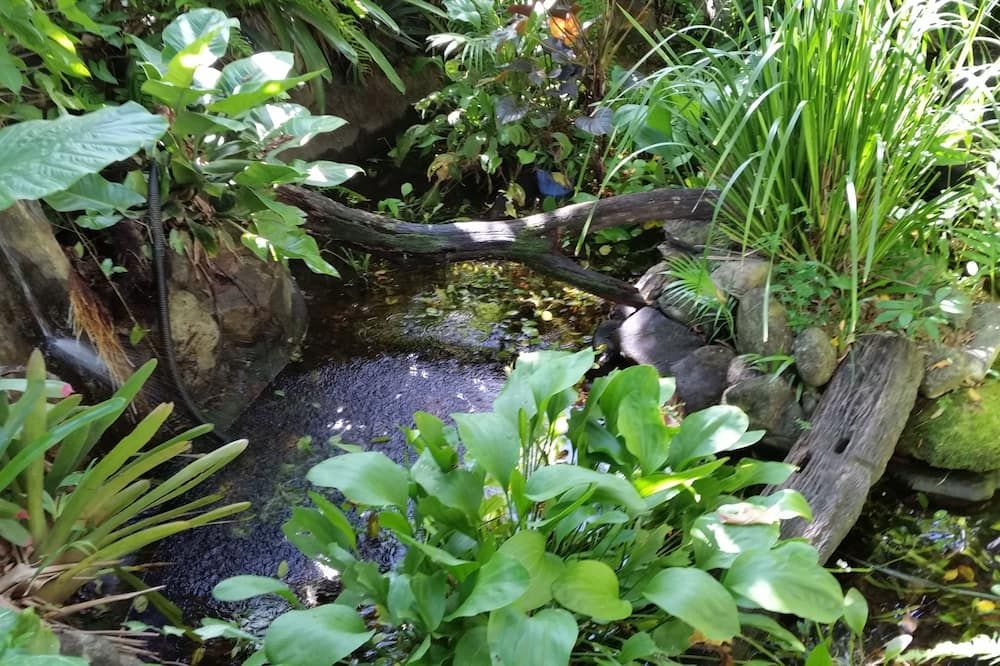 المظهر الخارجي