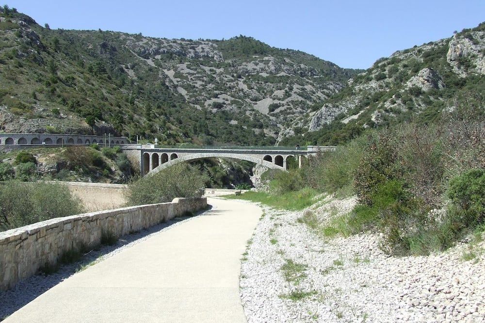 المظهر الخارجي