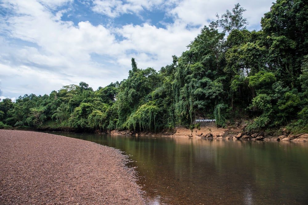 المظهر الخارجي