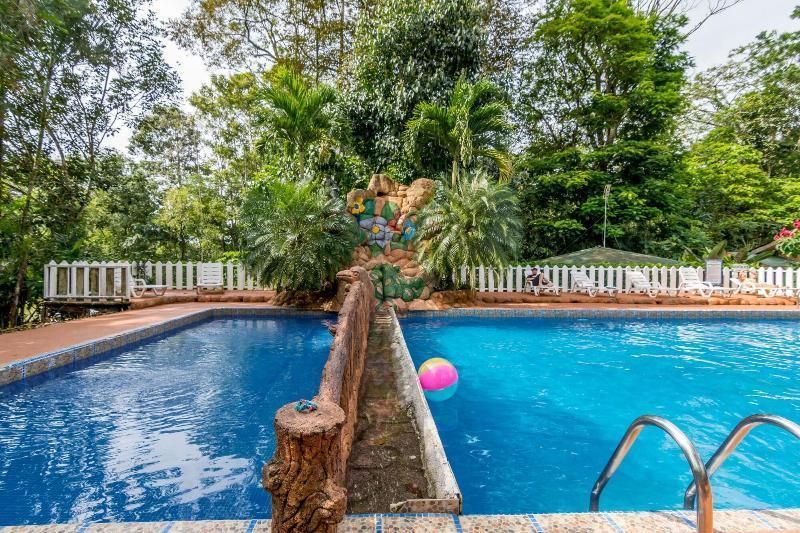 حوض السباحة