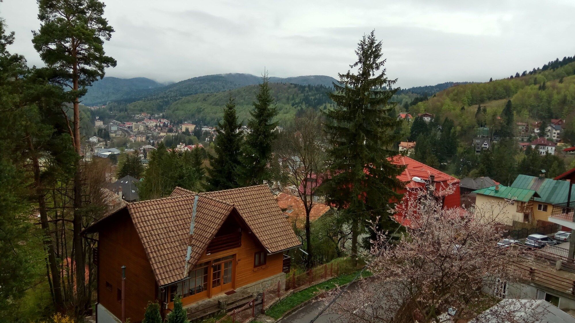 المظهر الخارجي