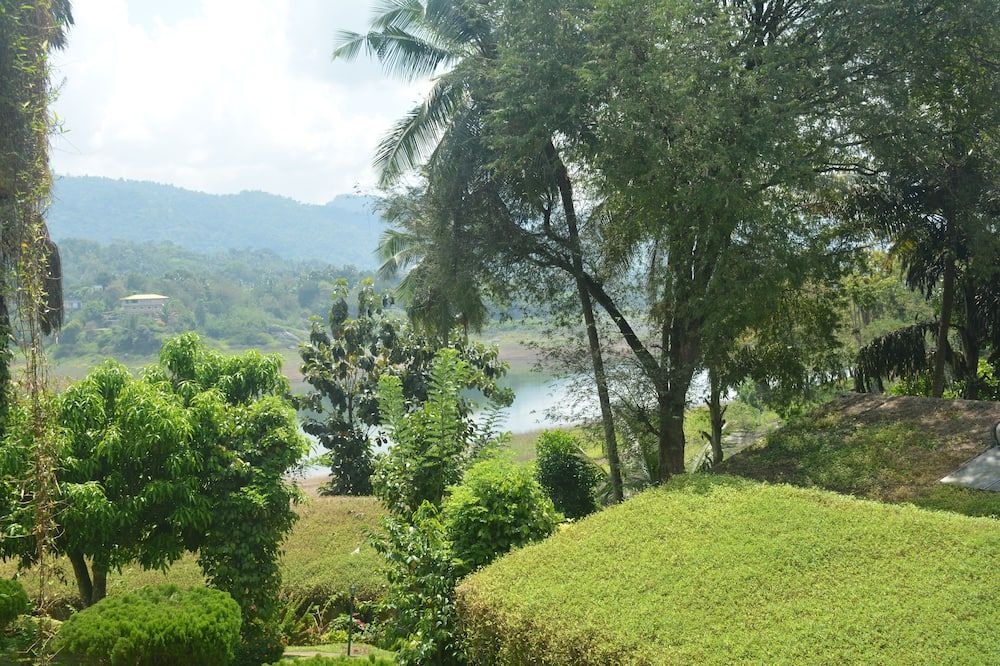 المظهر الخارجي