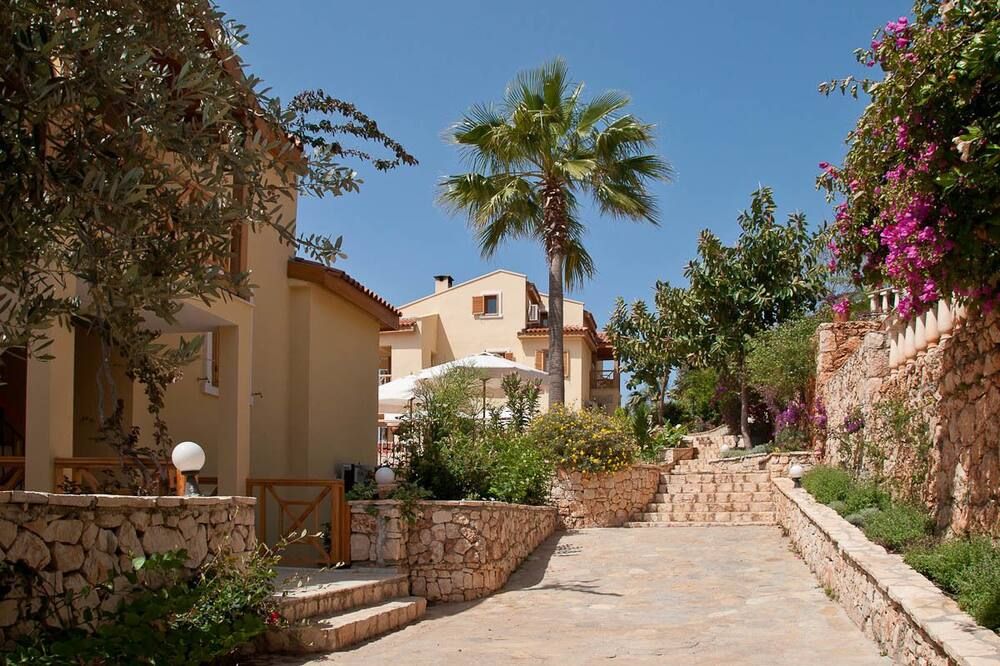 المظهر الخارجي