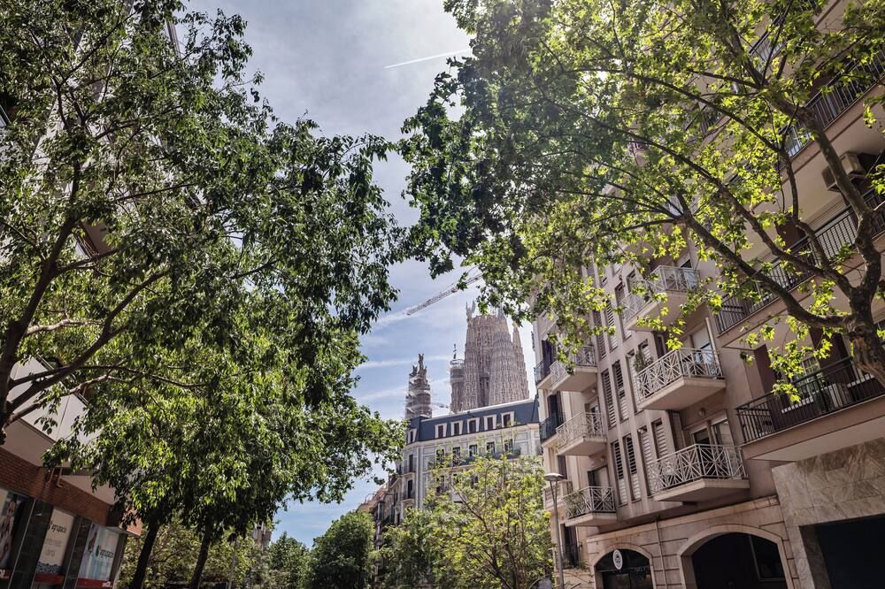 المظهر الخارجي