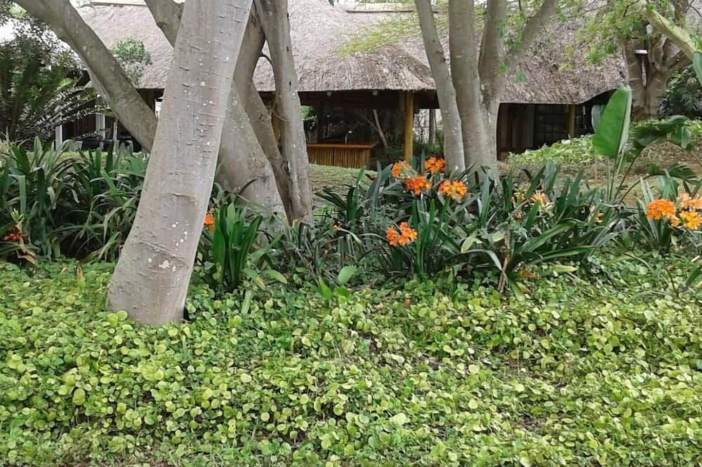 المظهر الخارجي