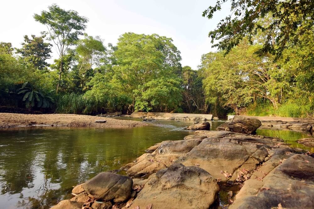 المظهر الخارجي