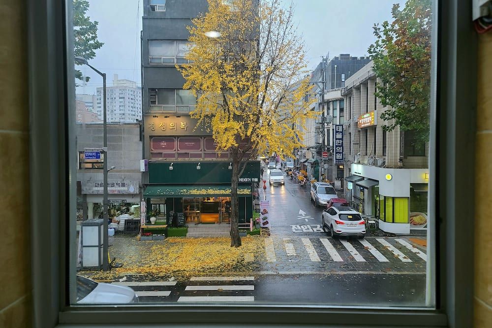 المظهر الخارجي