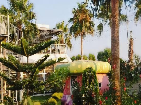 المظهر الخارجي