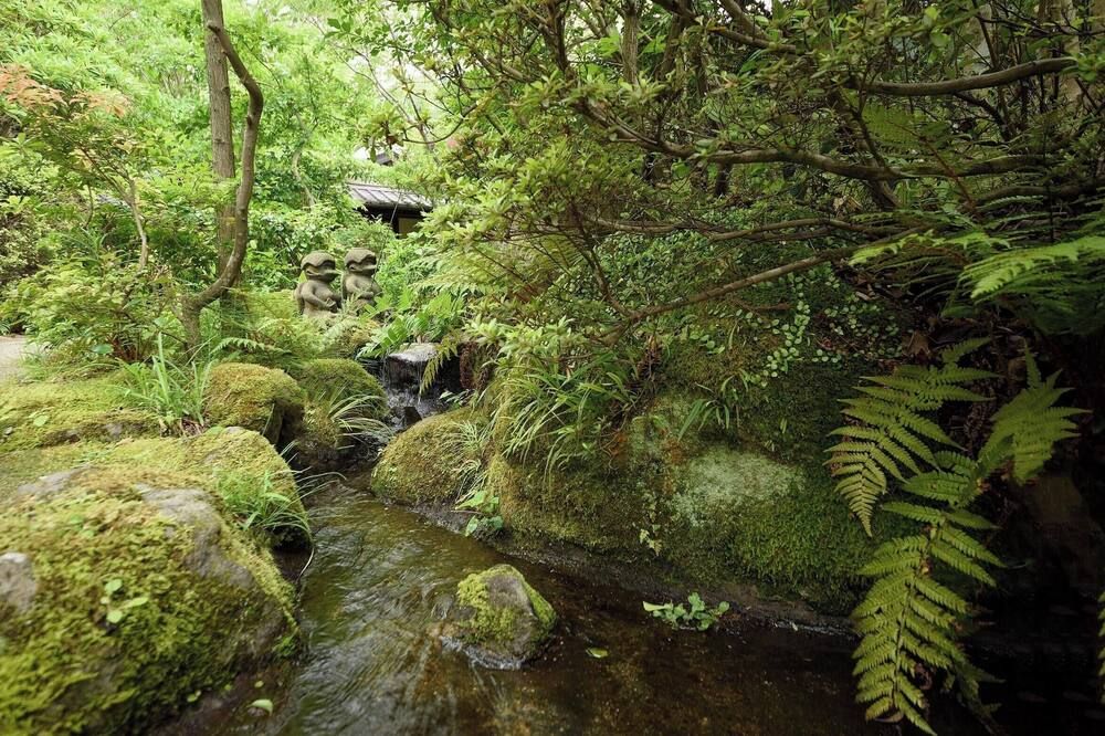 المظهر الخارجي