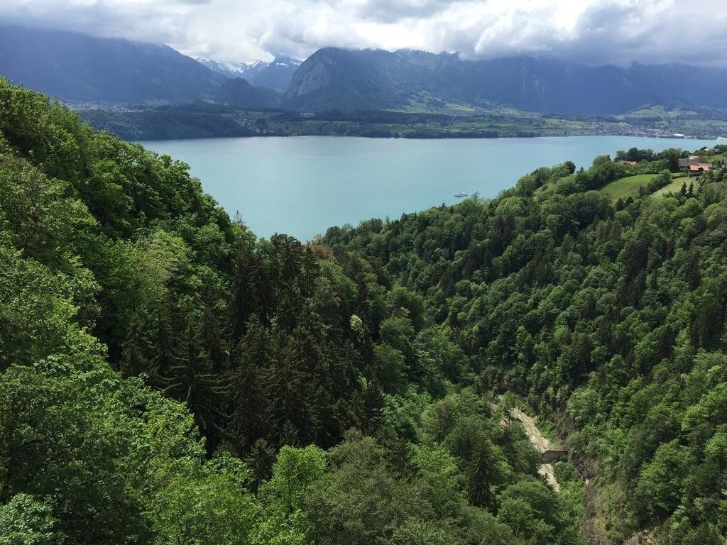 المظهر الخارجي