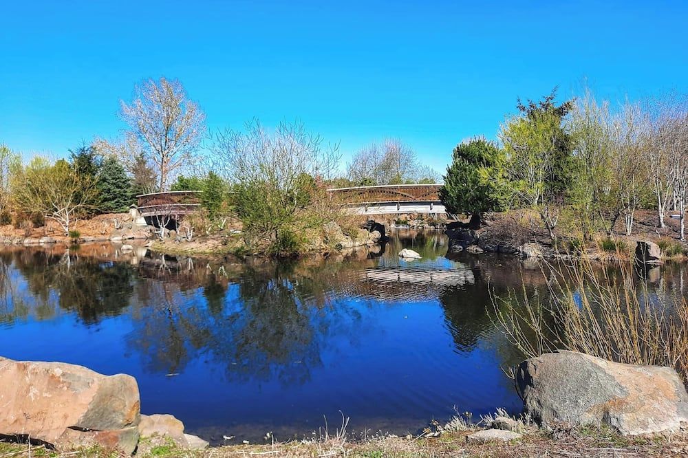 المظهر الخارجي