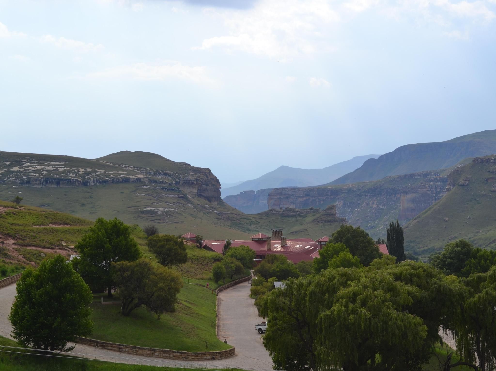 المظهر الخارجي