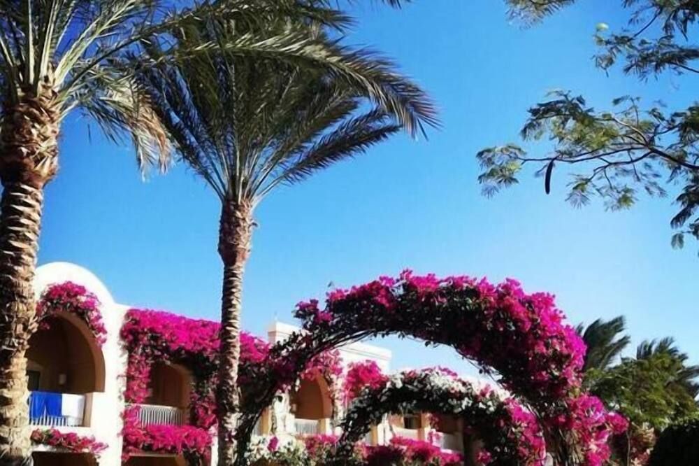 المظهر الخارجي
