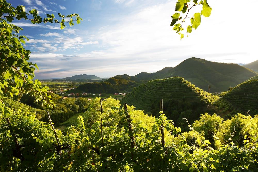 المظهر الخارجي