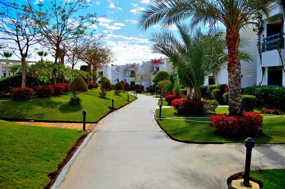 المظهر الخارجي