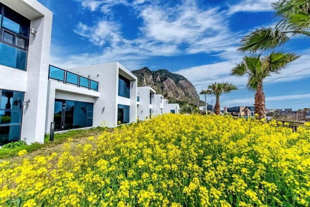 المظهر الخارجي