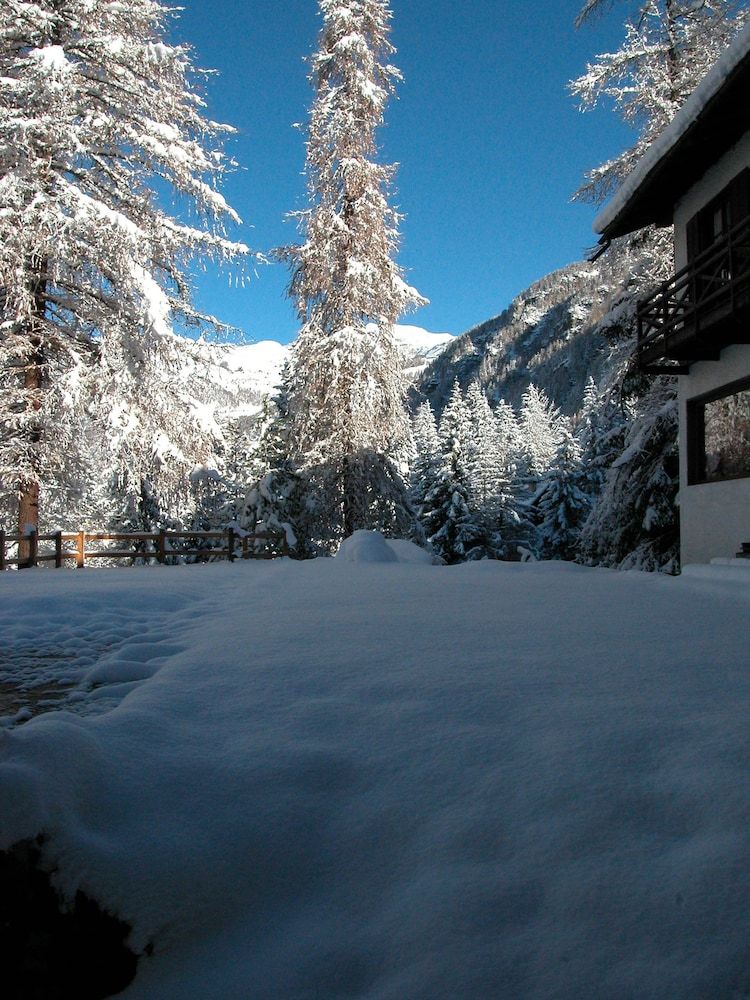 المظهر الخارجي