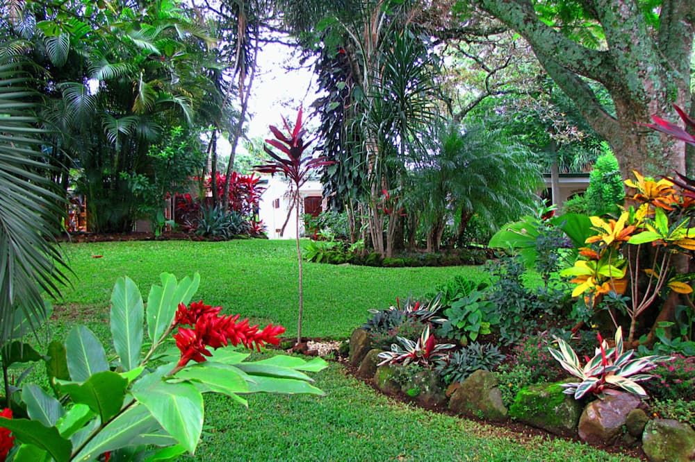 المظهر الخارجي