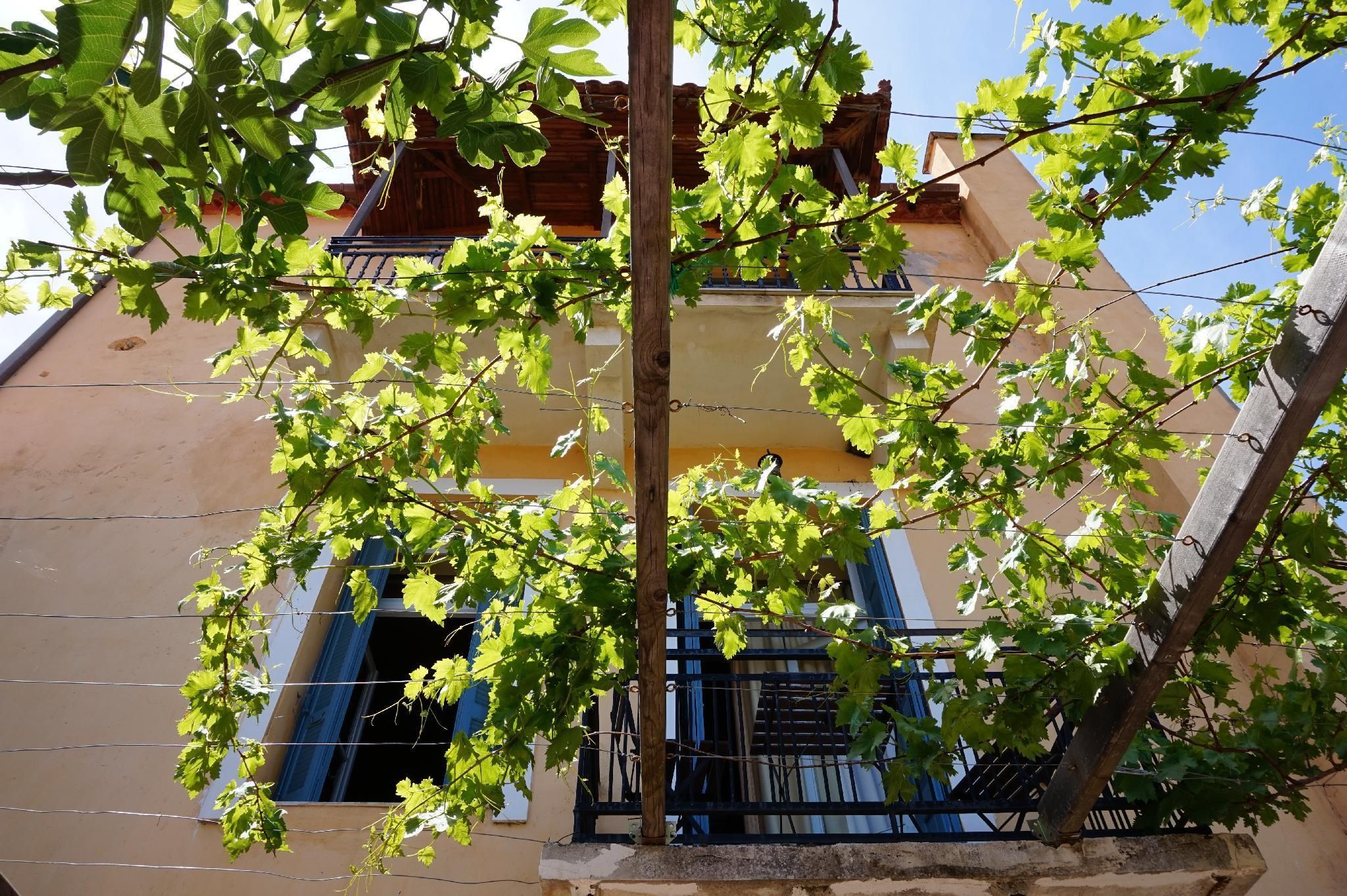 المظهر الخارجي