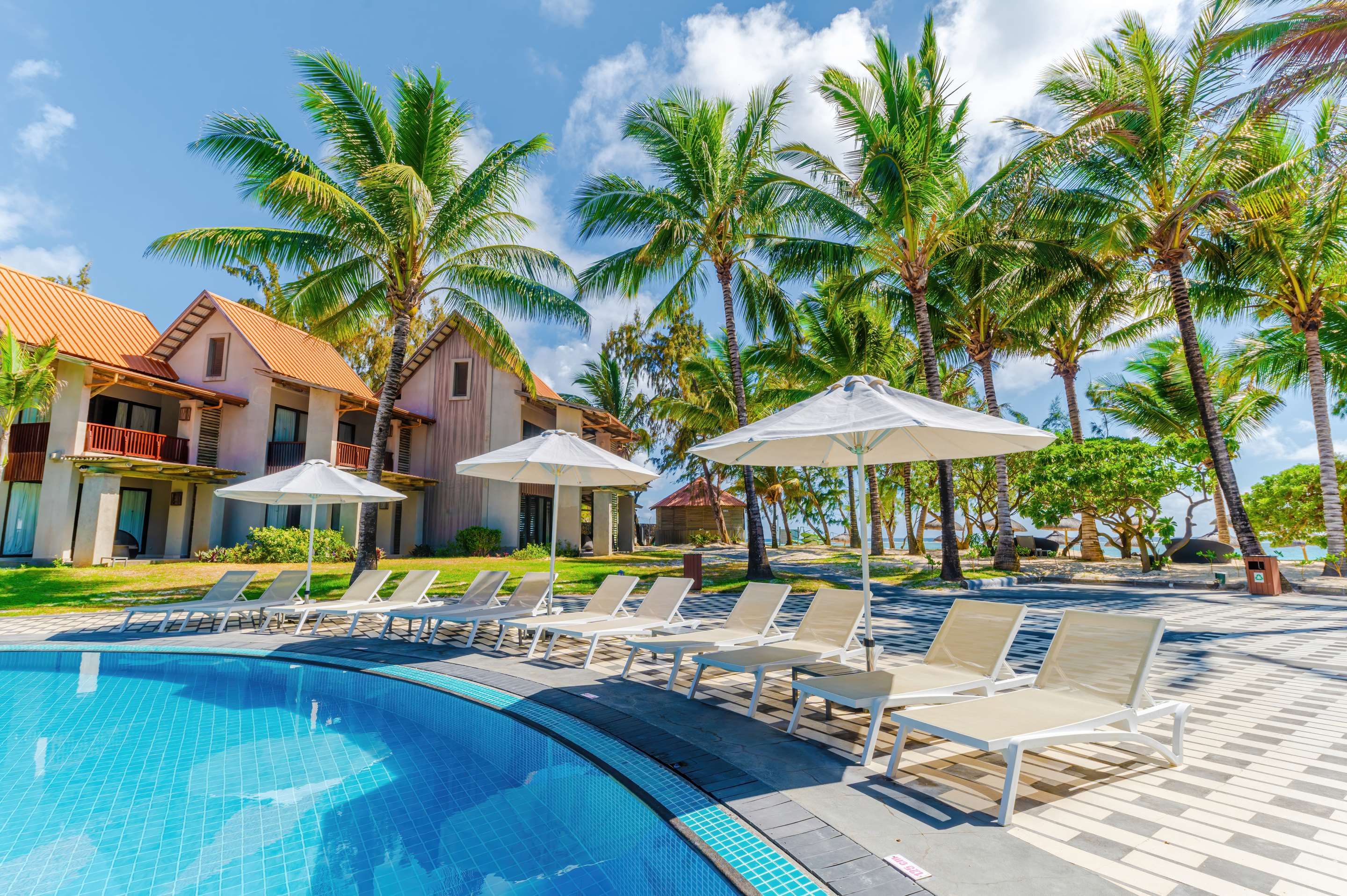 حوض السباحة صورة