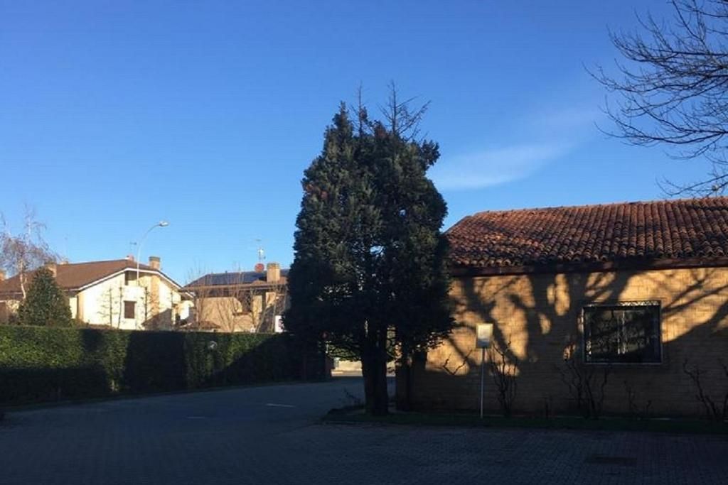 المظهر الخارجي