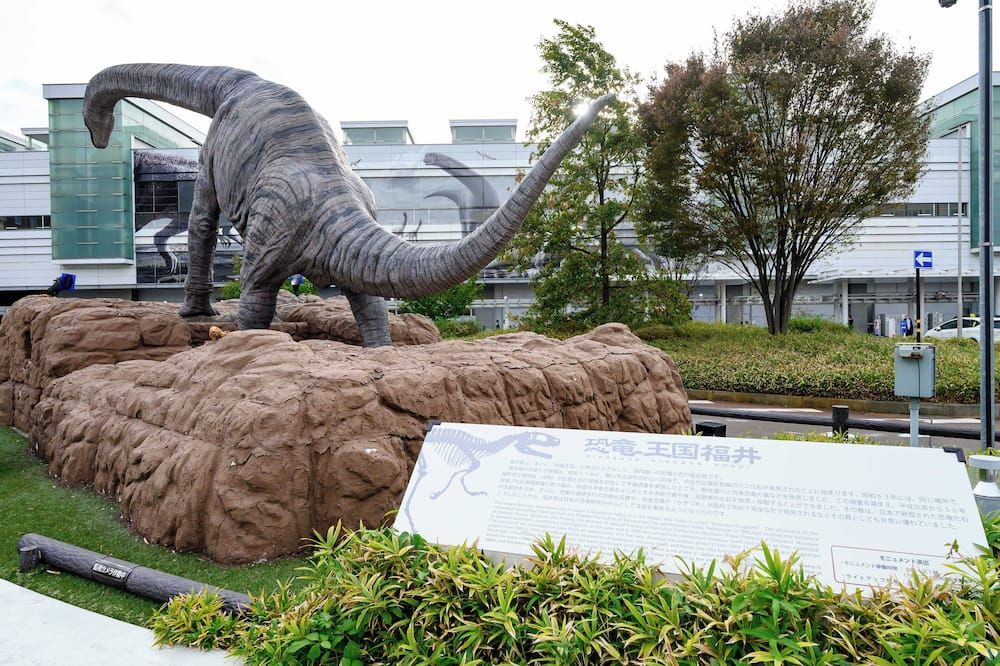 المظهر الخارجي