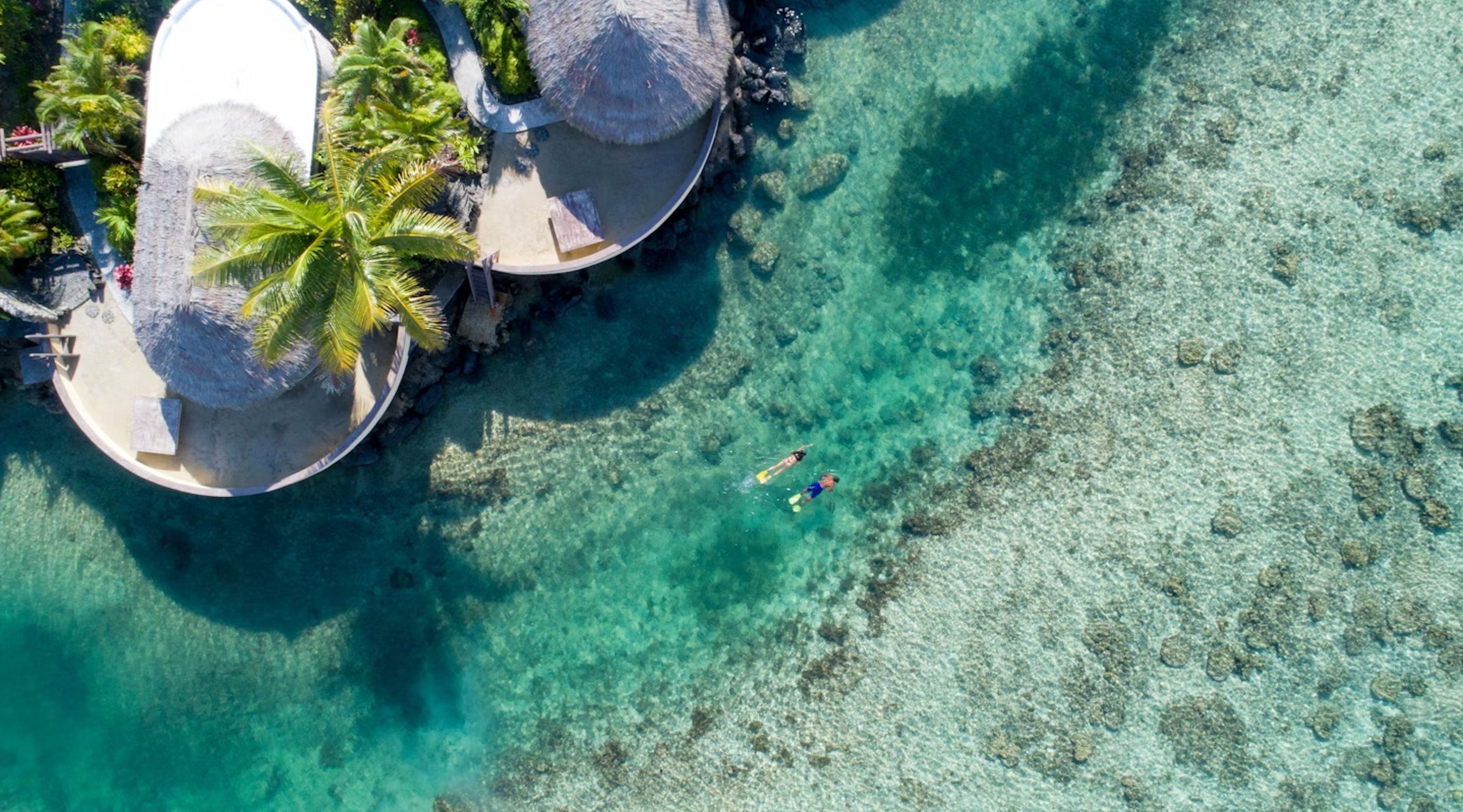 المظهر الخارجي