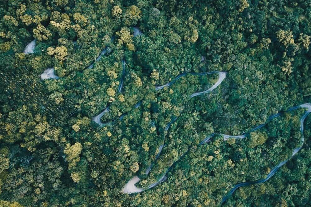 المظهر الخارجي