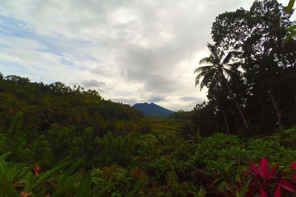 المظهر الخارجي