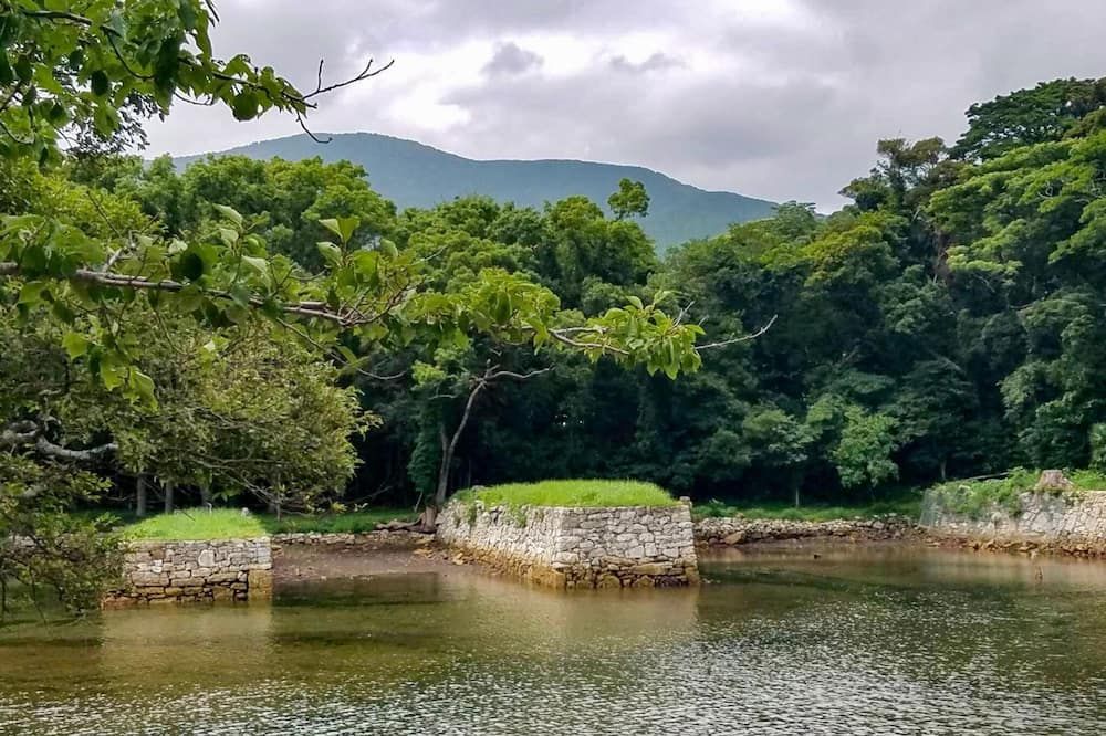 المظهر الخارجي