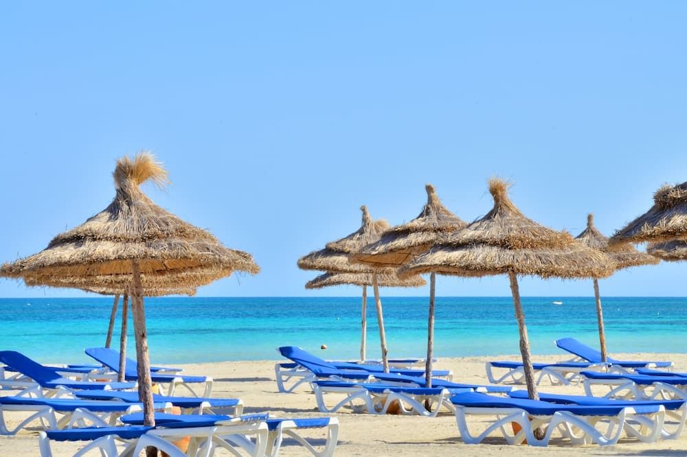 شاطئ صورة