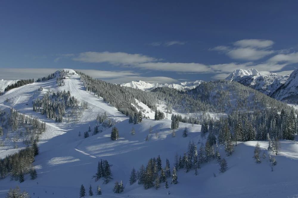 المظهر الخارجي