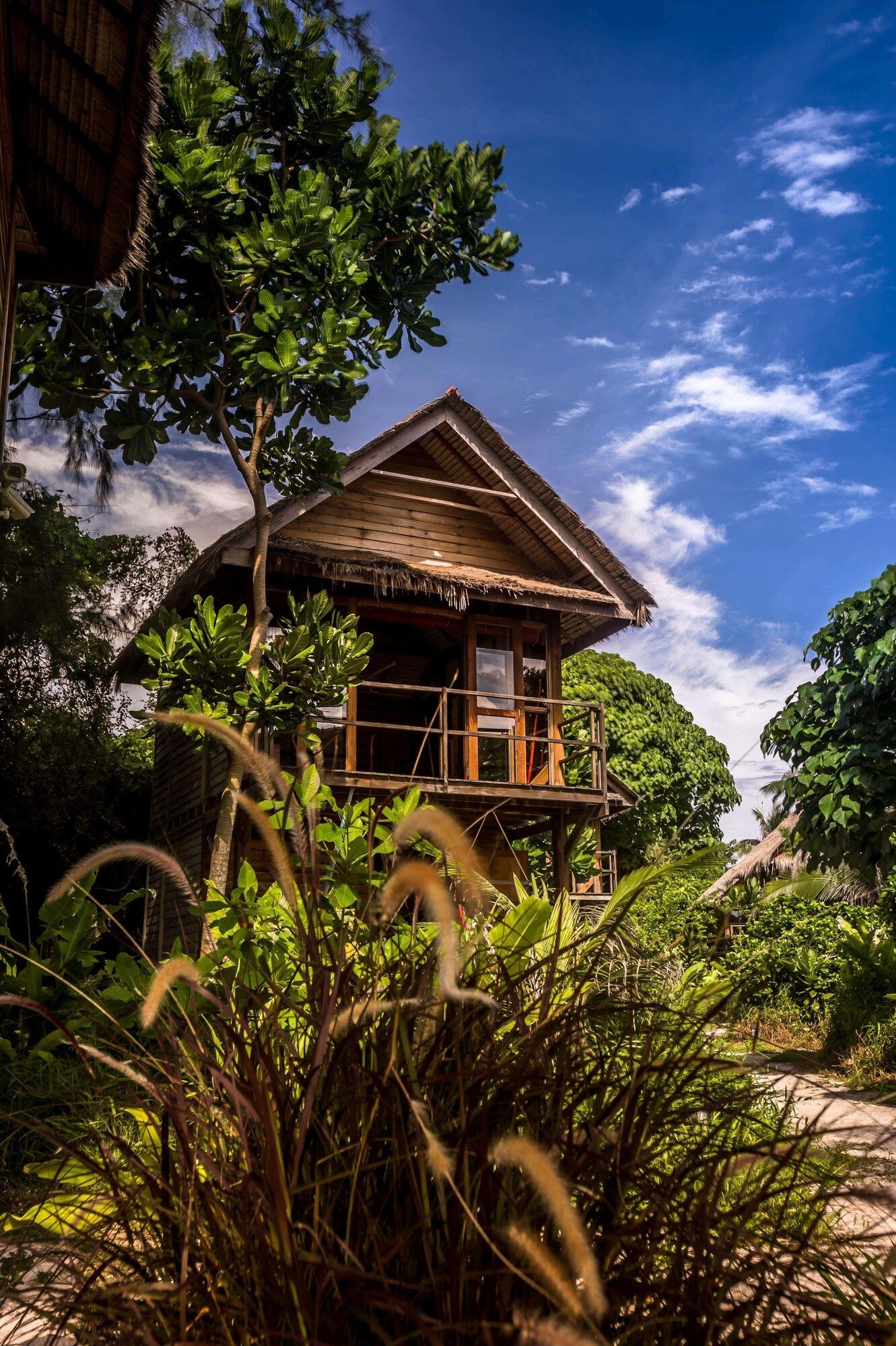 المظهر الخارجي